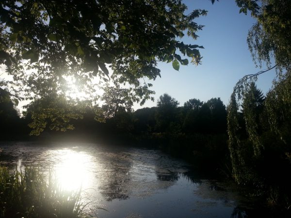 Alles IS in Mij Aanwezig